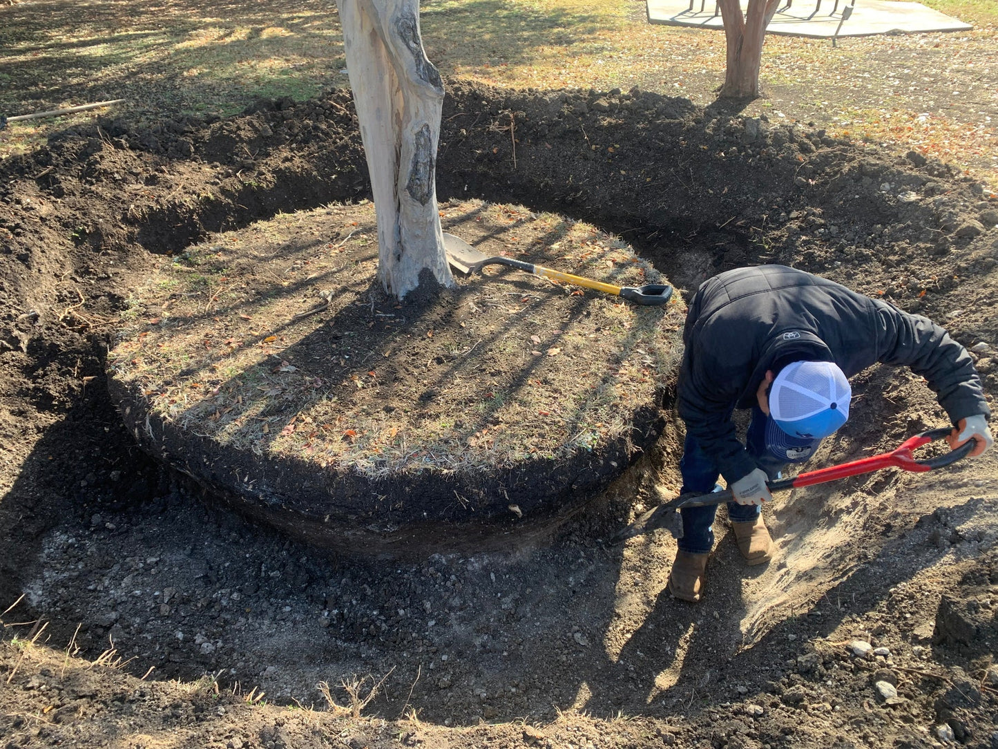 Planting Installation